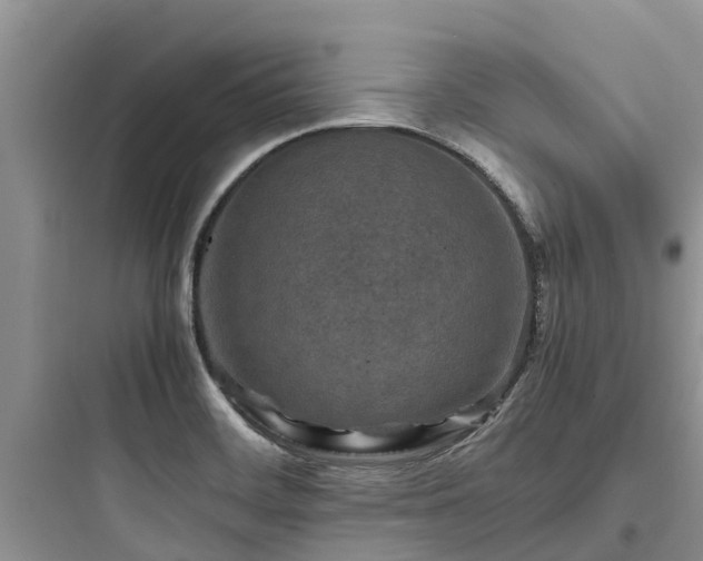X0000097921468200803211516