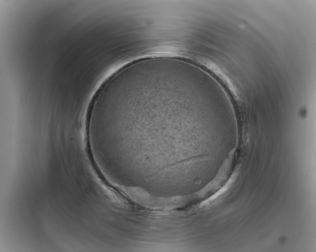 X0000097921469200803211516