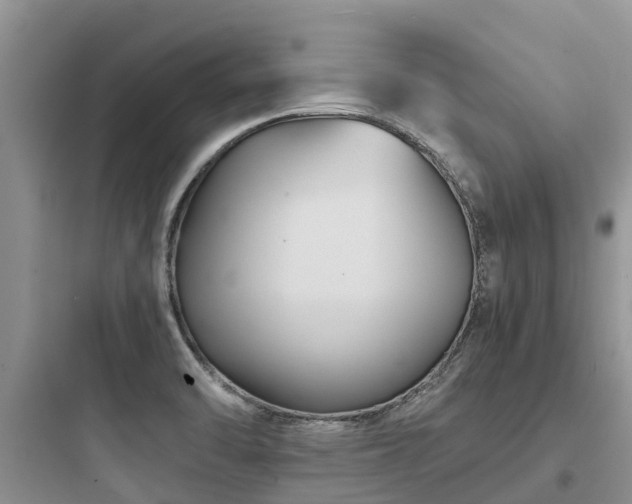 X0000097921470200803211516