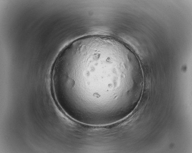 X0000097921471200803211516