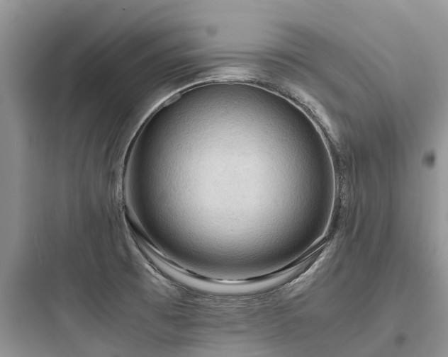 X0000097921473200803211516