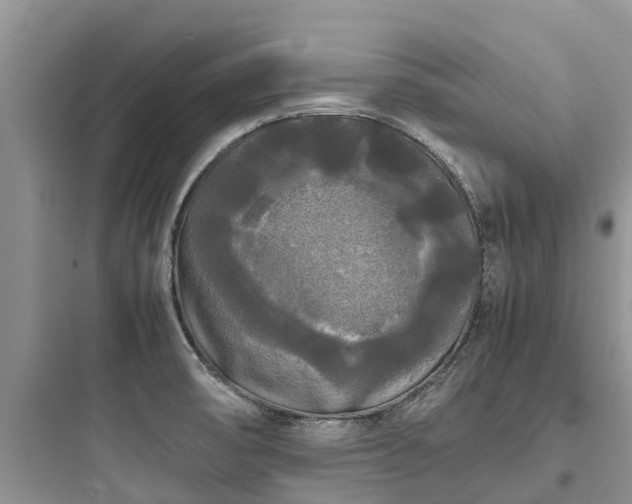 X0000097921474200803211516
