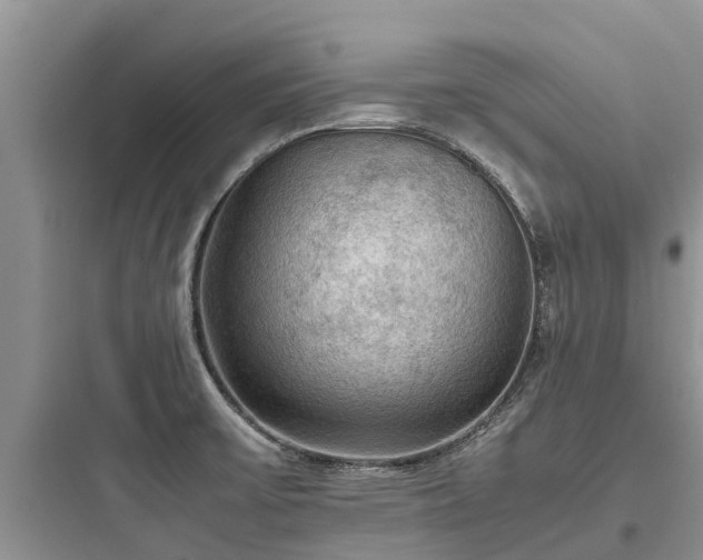 X0000097921475200803211516