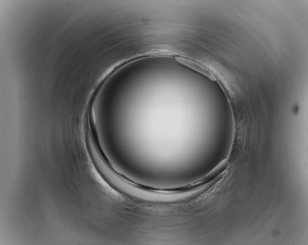 X0000097921476200803211516