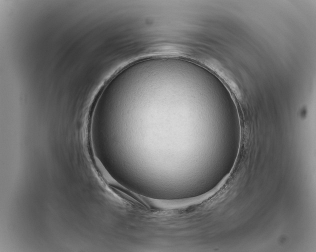 X0000097921477200803211516