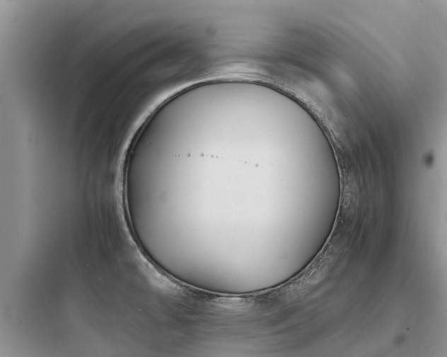 X0000097921478200803211516