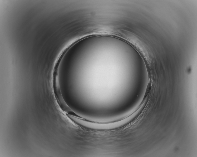 X0000097921480200803211516