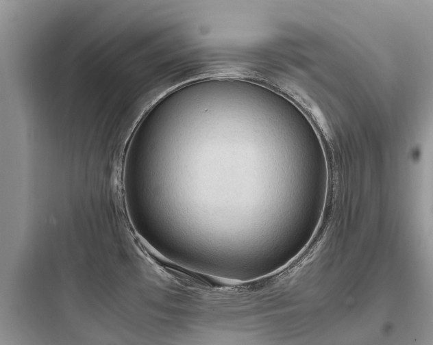 X0000097921481200803211516
