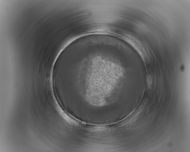 X0000097921482200803211516