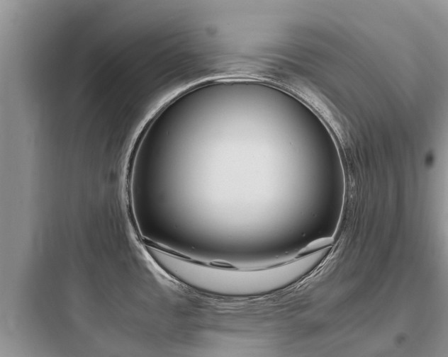 X0000097921485200803211516