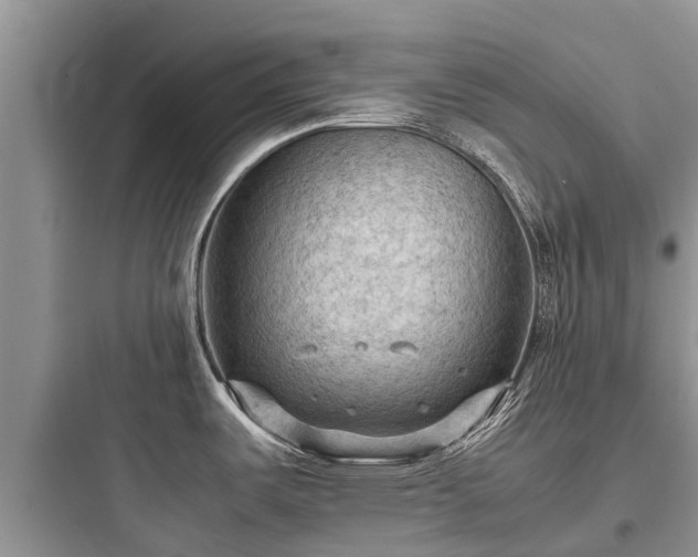 X0000097921487200803211516