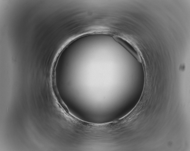 X0000097921488200803211516