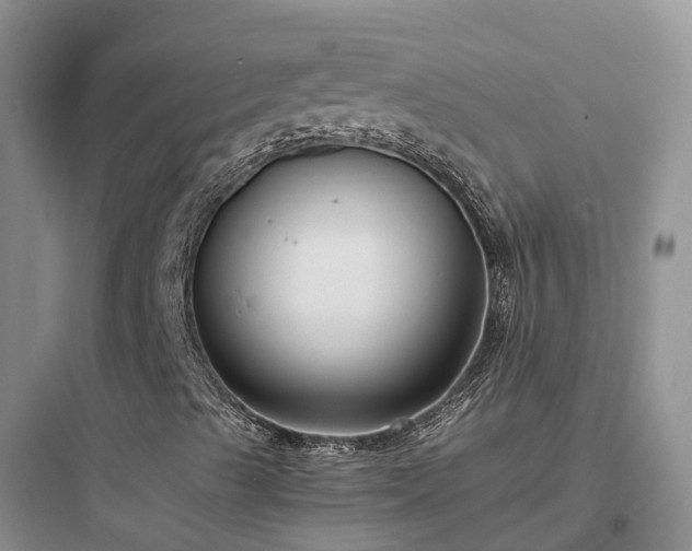 X0000097921489200803211515