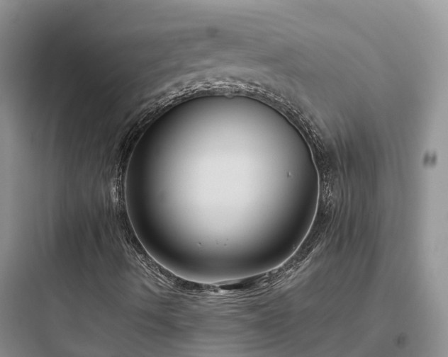 X0000097921490200803211516