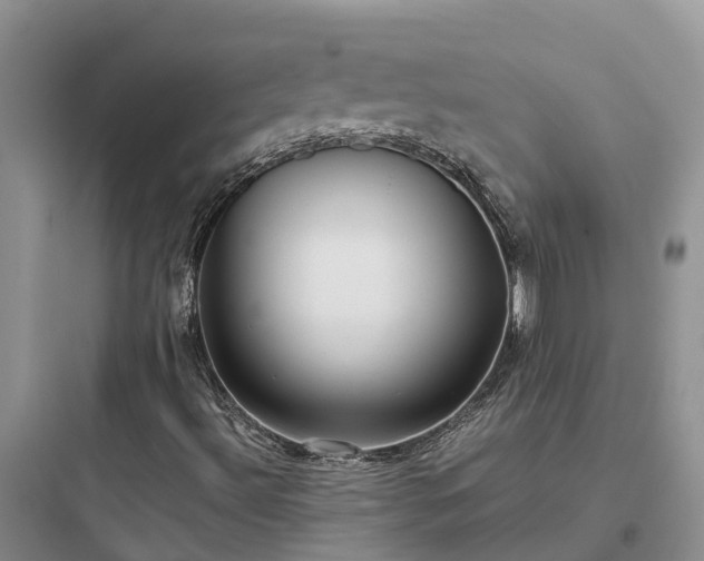 X0000097921492200803211516