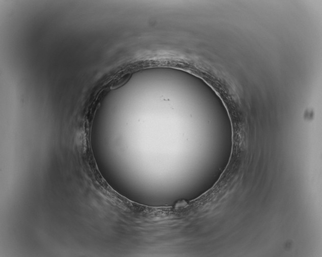 X0000097921493200803211516