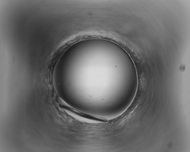 X0000097921494200803211516