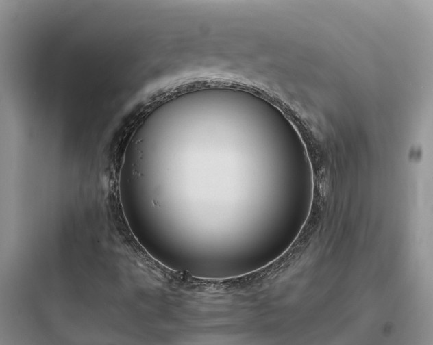 X0000097921495200803211516