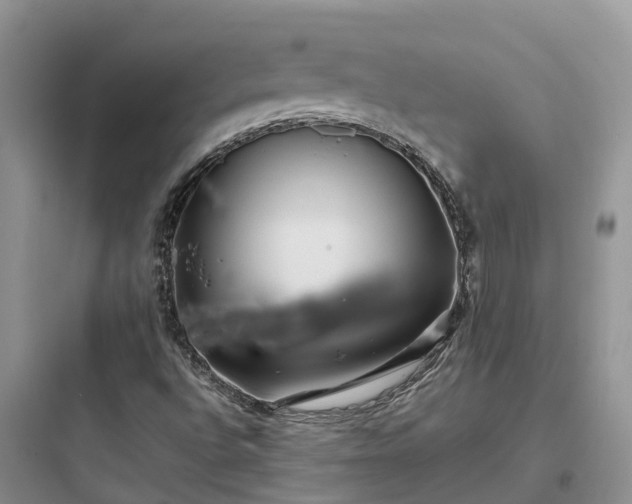 X0000097921496200803211516