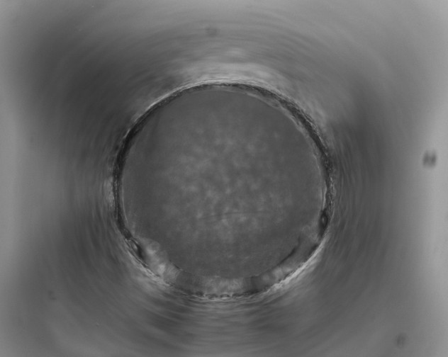 X0000097921497200803211516