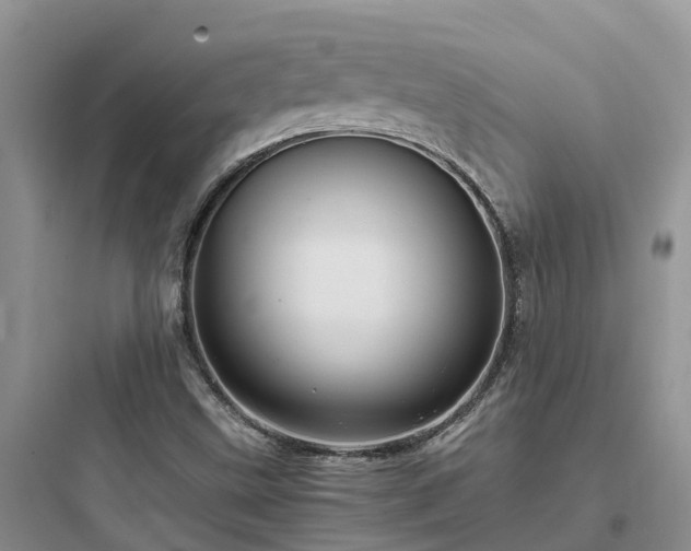 X0000097921499200803211516