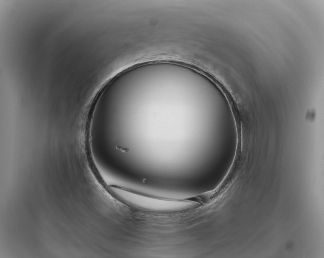 X0000097921500200803211516