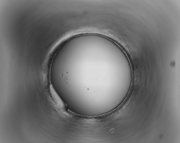 X0000097921502200803211516