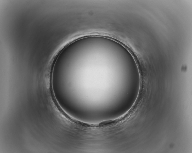 X0000097921504200803211516