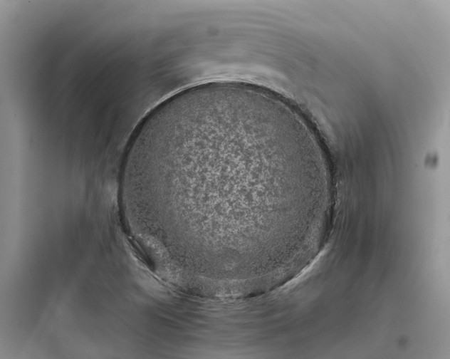 X0000097921505200803211516