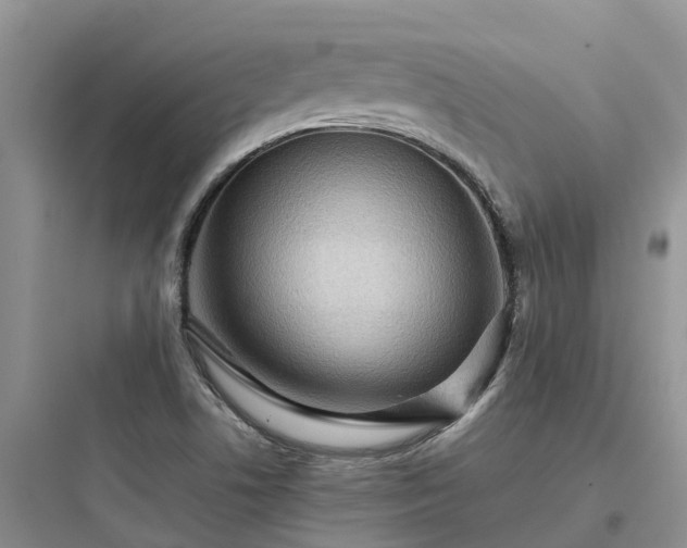 X0000097921506200803211516