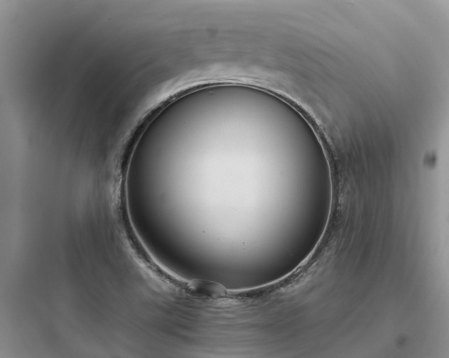 X0000097921507200803211516