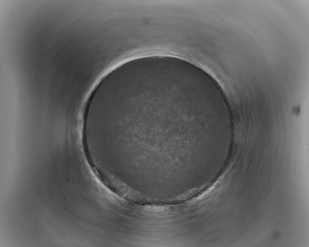 X0000097921508200803211516