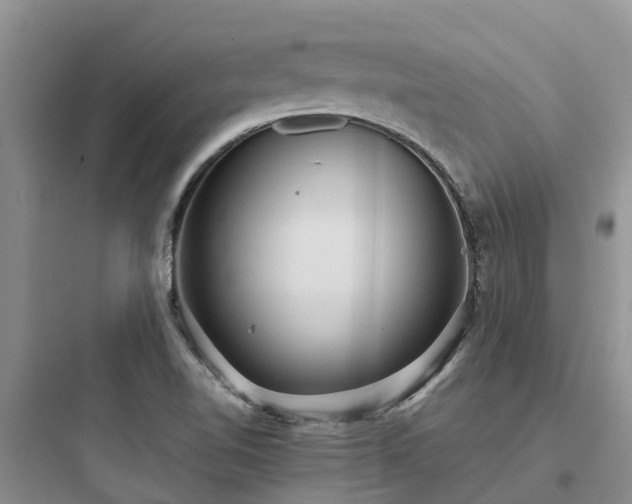 X0000097921510200803211516