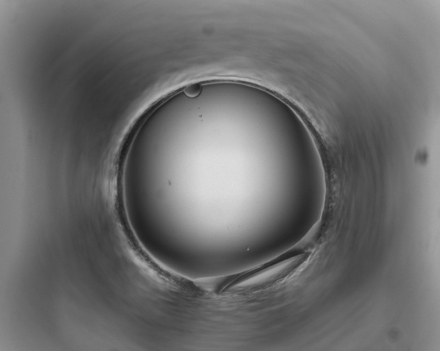 X0000097921511200803211516
