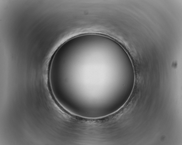 X0000097921512200803211516