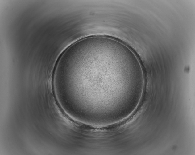 X0000097921513200803211516