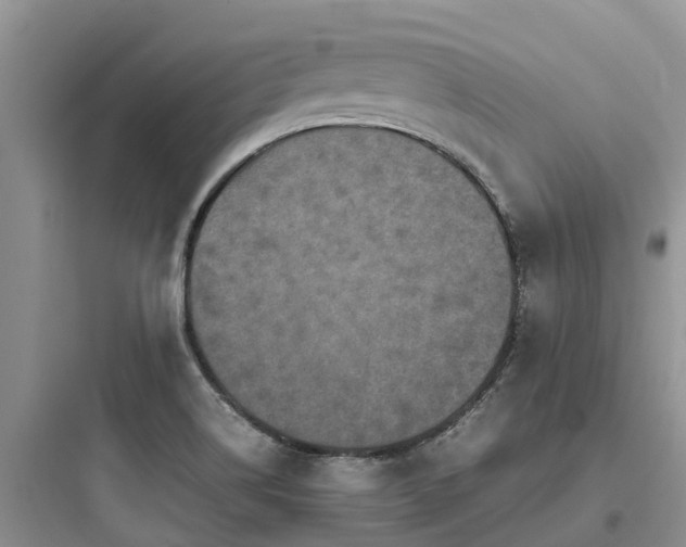 X0000097921514200803211516