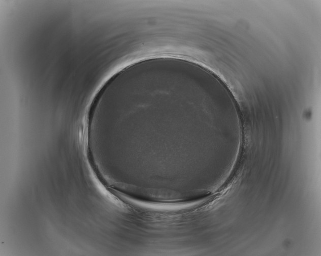 X0000097921515200803211516