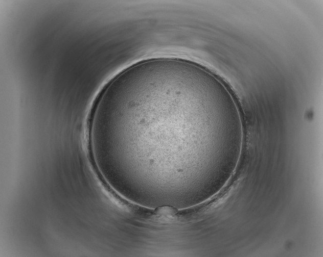 X0000097921517200803211516
