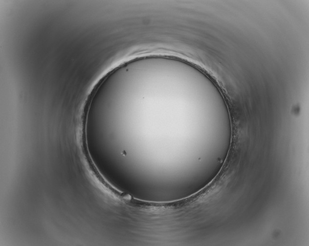 X0000097921518200803211516
