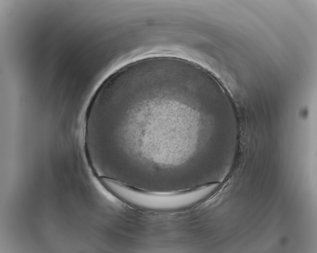 X0000097921519200803211516