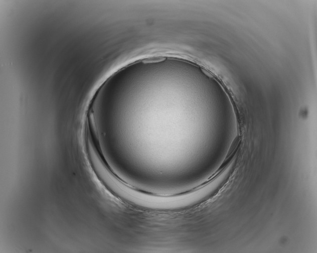 X0000097921520200803211516