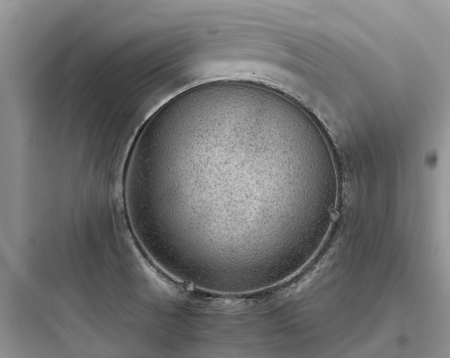 X0000097921521200803211516