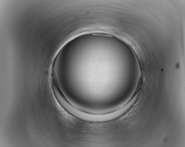 X0000097921524200803211516