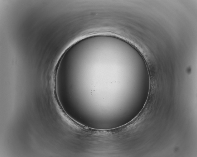 X0000097921526200803211516