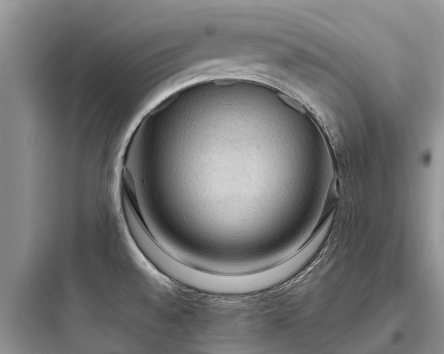 X0000097921528200803211516