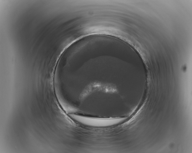 X0000097921529200803211516