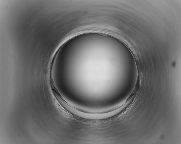 X0000097921530200803211516