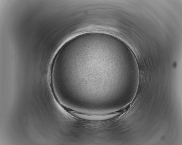 X0000097921531200803211516