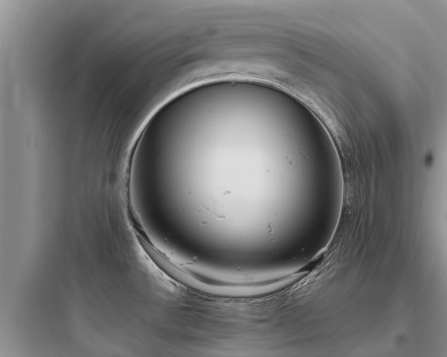 X0000097921532200803211516